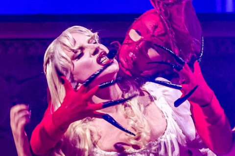 Gravadora reforça rumores de lançamento de novo álbum da Lady Gaga em 2026; entenda